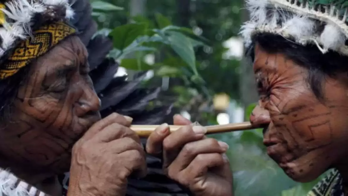 Obred z medicino rape: Ozemljitev in duhovno prebujenje