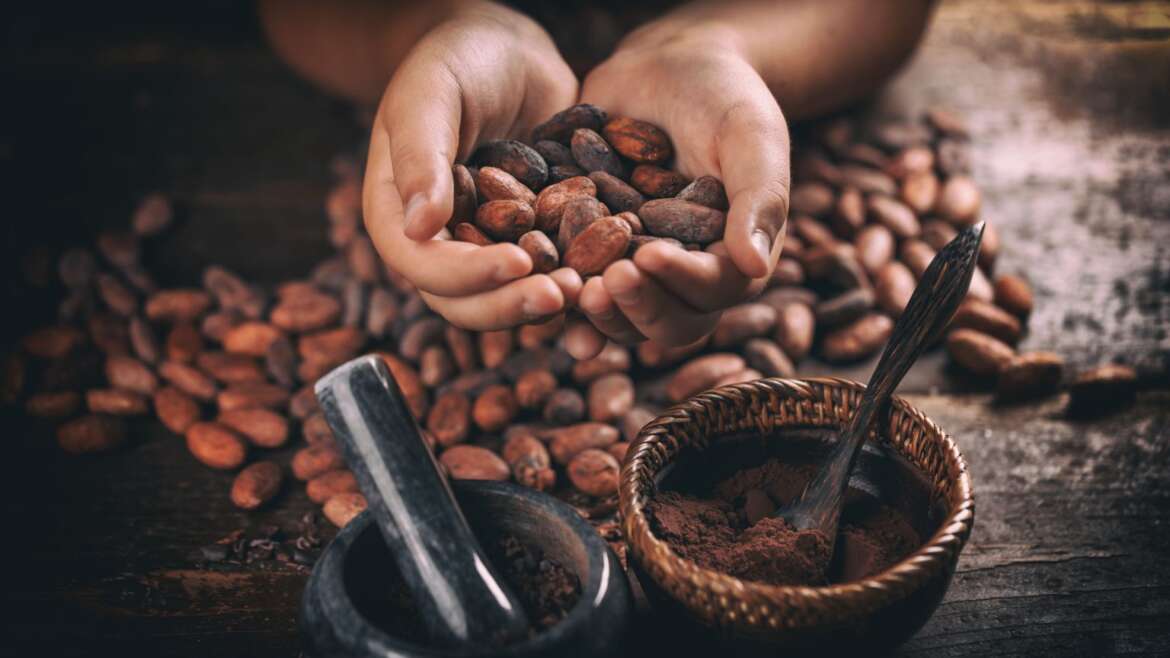 Obred s ceremonialnim kakavom: Srčna povezanost in duhovna preobrazba